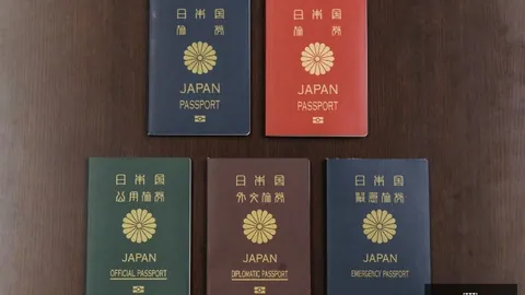 “阿劳霍与费兰去年秘密，在线投注，参与瓦伦地区救援行动，坚决要求对外保密”