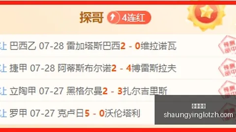 双赢彩票 053111 7